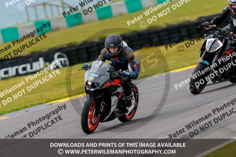 PJ Motorsport 2019;anglesey no limits trackday;anglesey photographs;anglesey trackday photographs;enduro digital images;event digital images;eventdigitalimages;no limits trackdays;peter wileman photography;racing digital images;trac mon;trackday digital images;trackday photos;ty croes